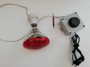 Gazlı İnfaered Ampul 100 Watt